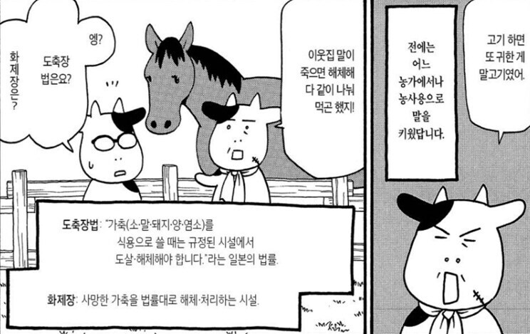 강연금 작가가