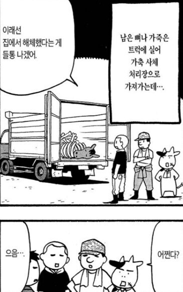 강연금 작가가
