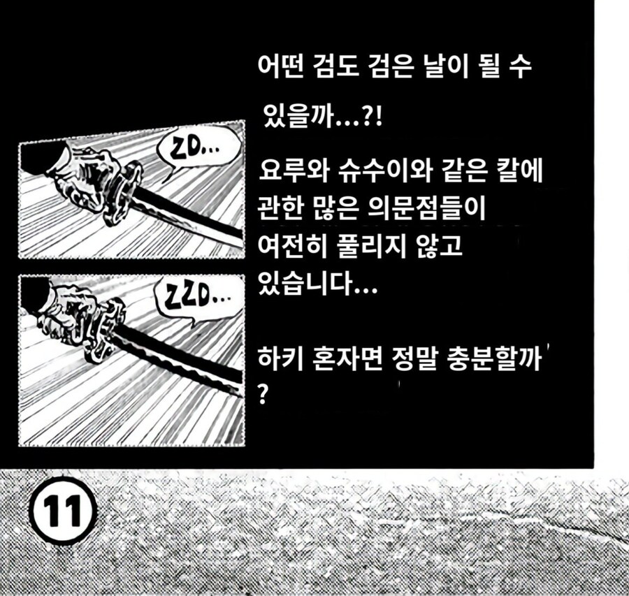 인종차별자 조로_3.jpg