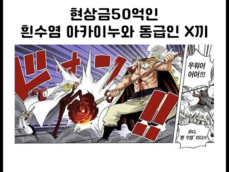 원피스 현상금 갱신으로 떡상해버린 새끼_1.jpg