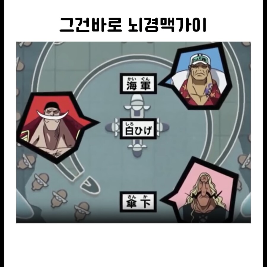 원피스 현상금 갱신으로 떡상해버린 새끼_2.jpg