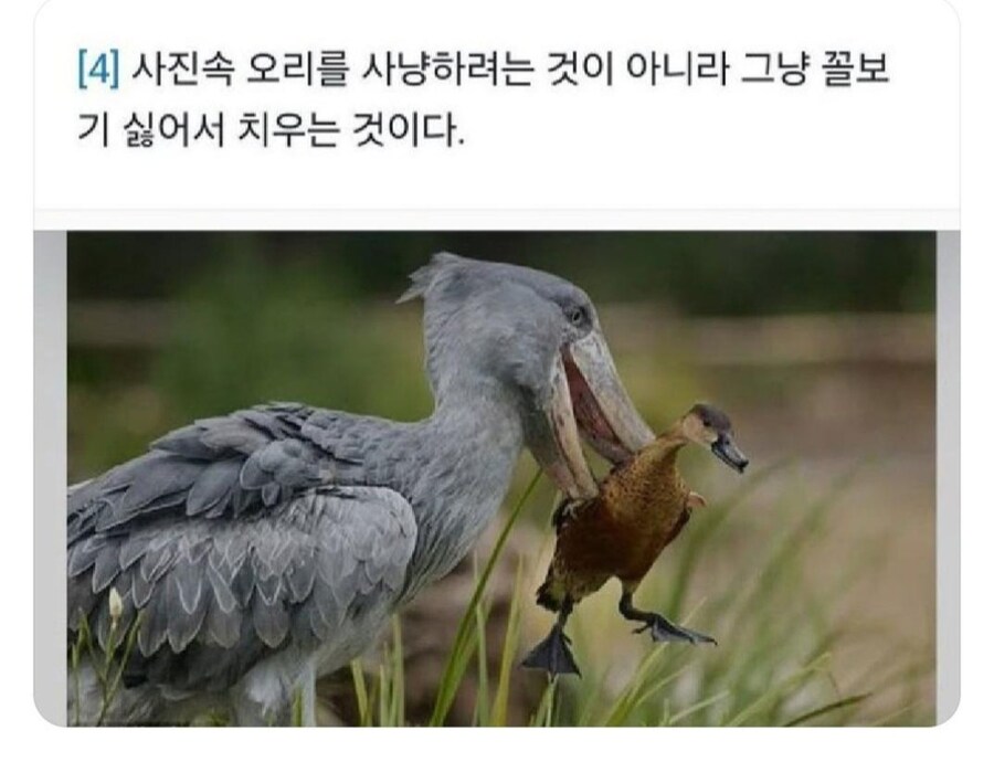 꼴보기 싫어서 치우는 것_1.jpg