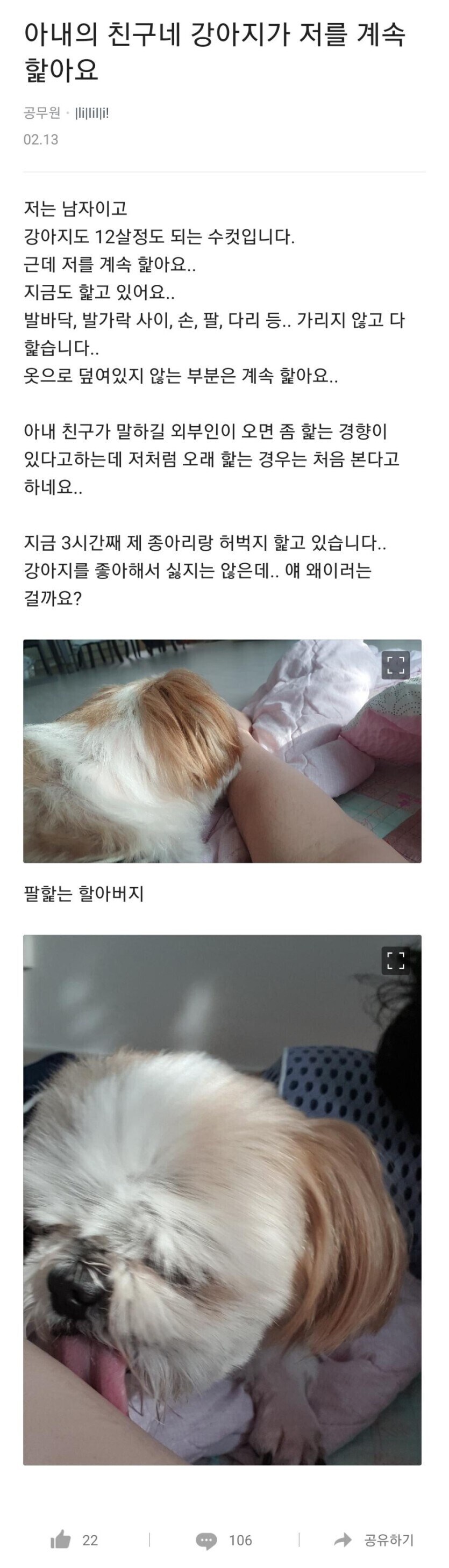 늙은 개가 계속 핥아주던 이유.jpg_1.jpg