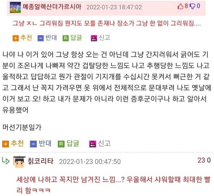 슬픈 ㅈㄲㅈ 증후군.jpg_2.jpg