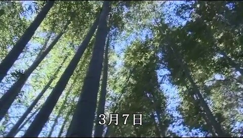 시체를 산에다 묻으면 안되는 이유_11.jpg