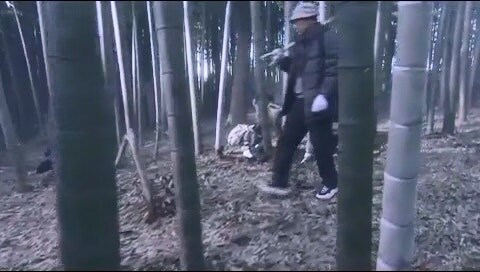 시체를 산에다 묻으면 안되는 이유_14.jpg