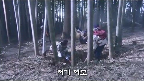 시체를 산에다 묻으면 안되는 이유_15.jpg