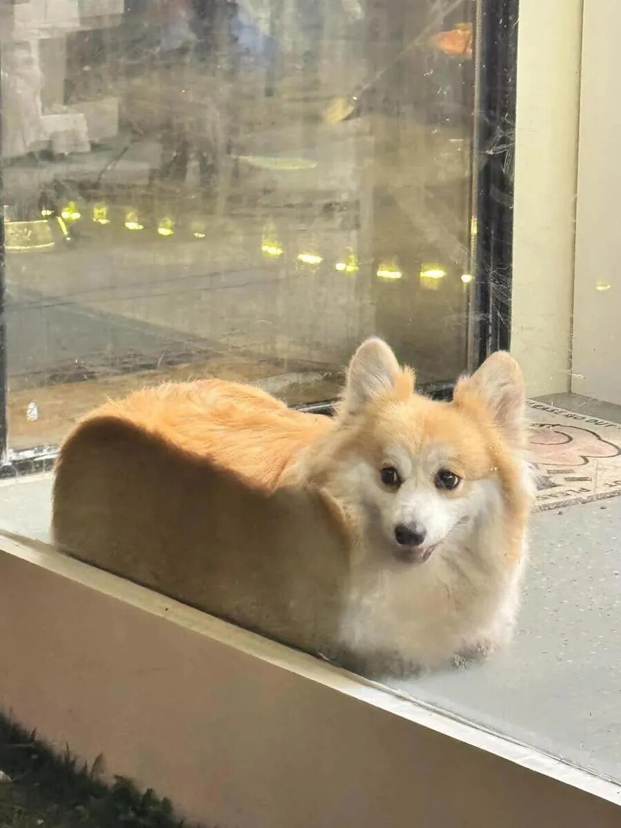 네모네모 멈뭄미_1.jpg