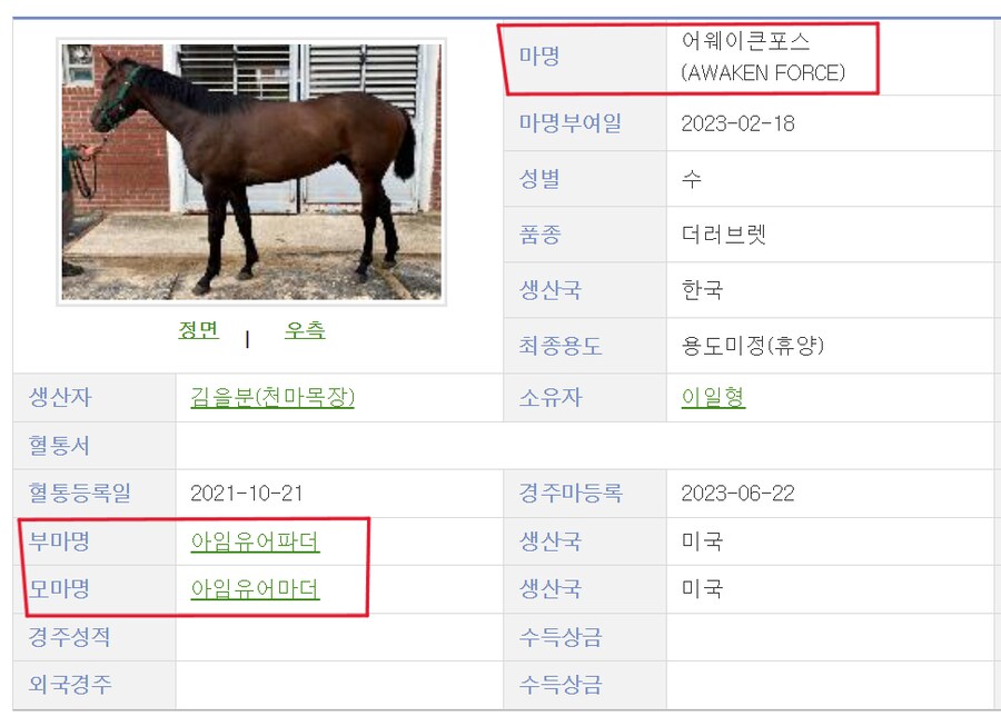 경마) 태어나보니 엄마 이름이