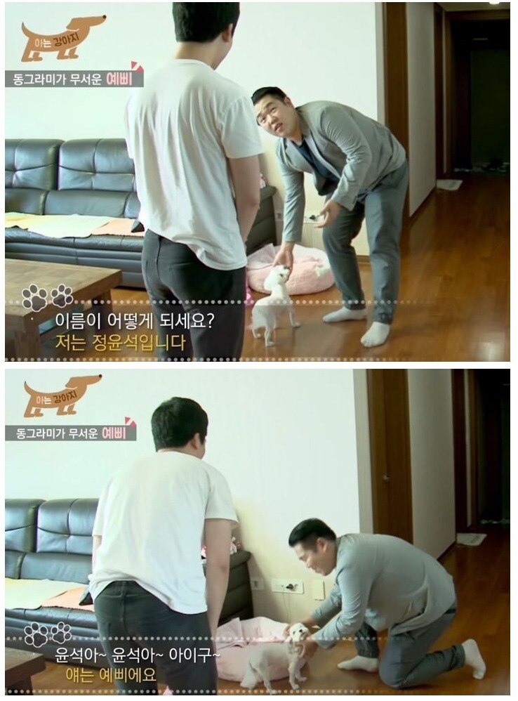강아지 이름이 사람 같네 많이 이뻐 하시나봐요_1.jpg