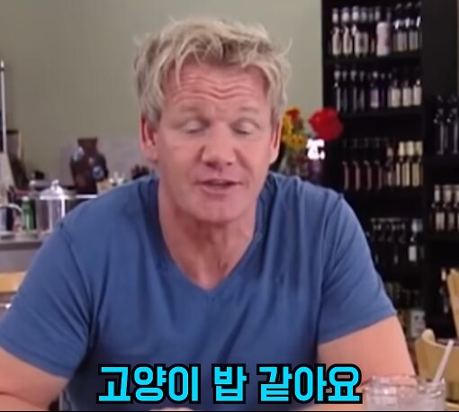 5성급 호텔 쉐프의 실력에 놀란 고든 렘쥐 jpg_8.png