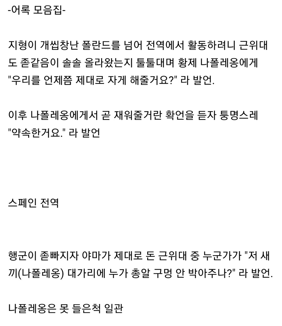 나폴레옹의 근위대_3.jpg