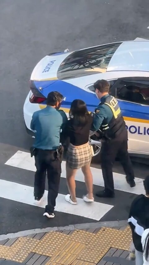 여고생 하나 잡는데 경찰 4명 동원_1.jpg