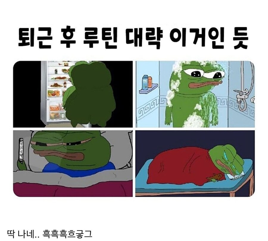 쉽게 찾아볼 수 있는 직장인들 퇴근 후 루틴_1.jpg