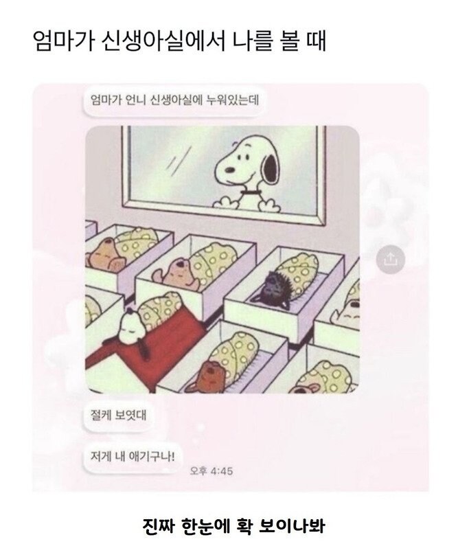 엄마가 언니 신생아실에 누워있을때 이렇게 보였대_1.jpg