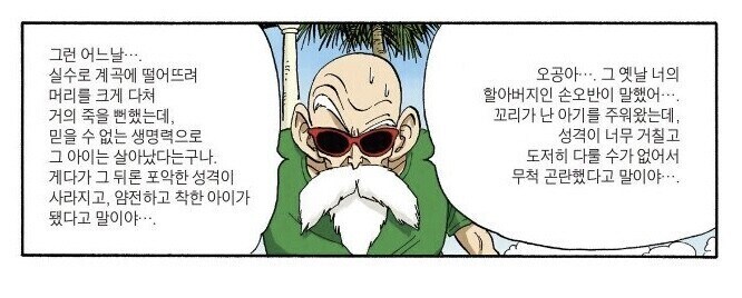 과거화상 그리기 싫었던 드래곤볼 작가.jpg_1.jpg