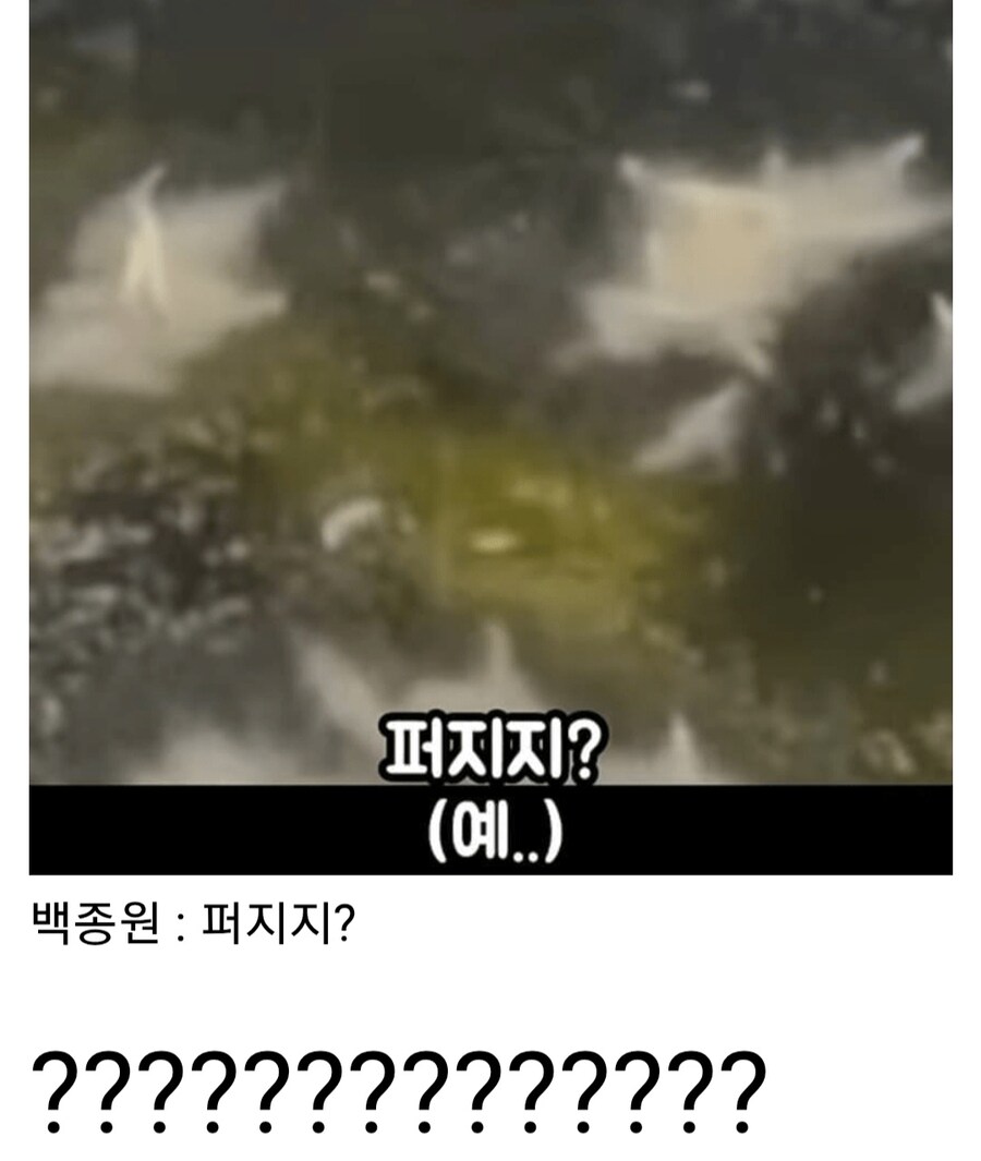 야채튀김 하는 방법을 알려주는 백종원_10.jpg
