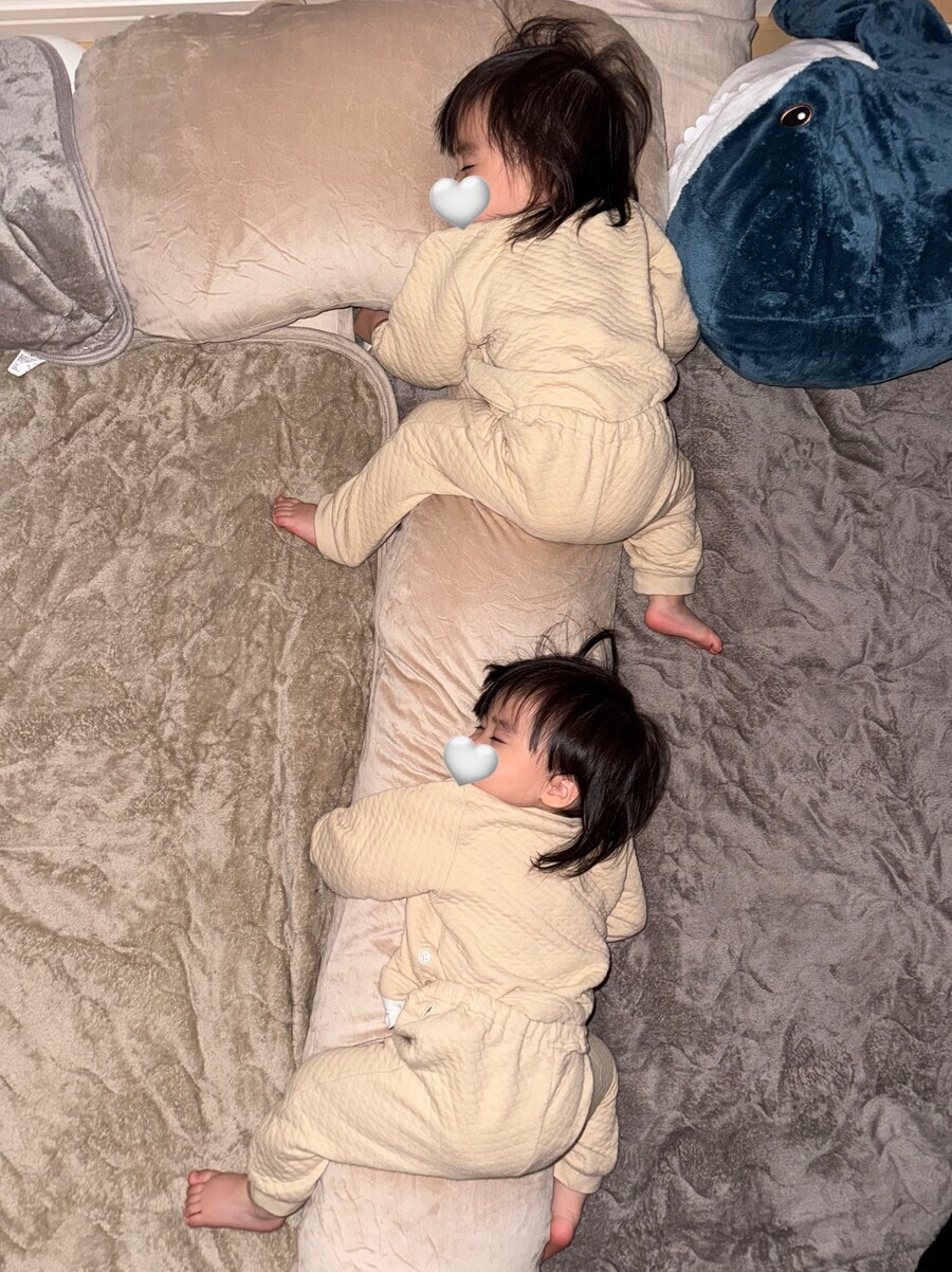 쿠션을 좋아하는 쌍둥이.jpg_1.jpg