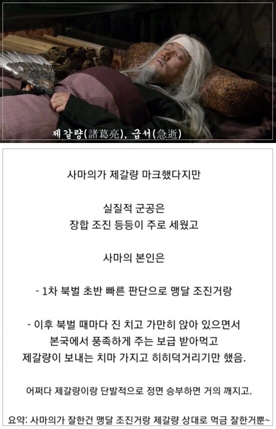 삼국지 사마의는 제갈량 막은거에 별다른 공로가 없다.jpg_3.jpg