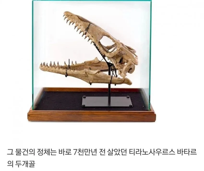 경매에서 억 날린 헐리웃스타_2.webp