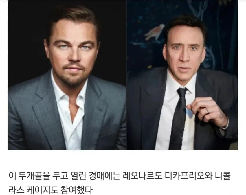 경매에서 억 날린 헐리웃스타_3.webp