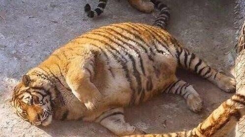 시골 할머니 특_3.jpg