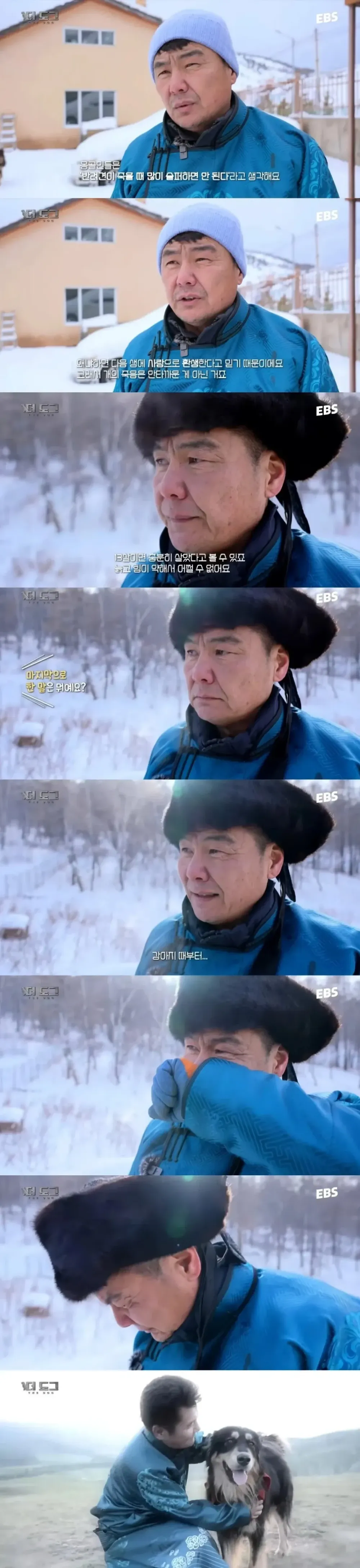 키우던 개가 죽어도 슬퍼하지 않는 상남자. jpg_1.webp