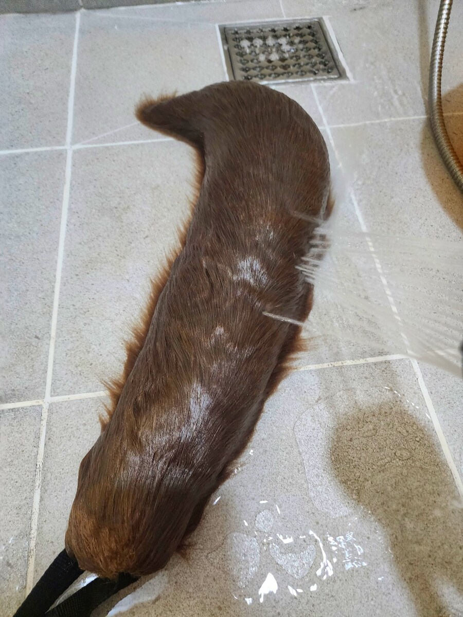 강아지 목욕 시키는 듯한 사진_1.jpg