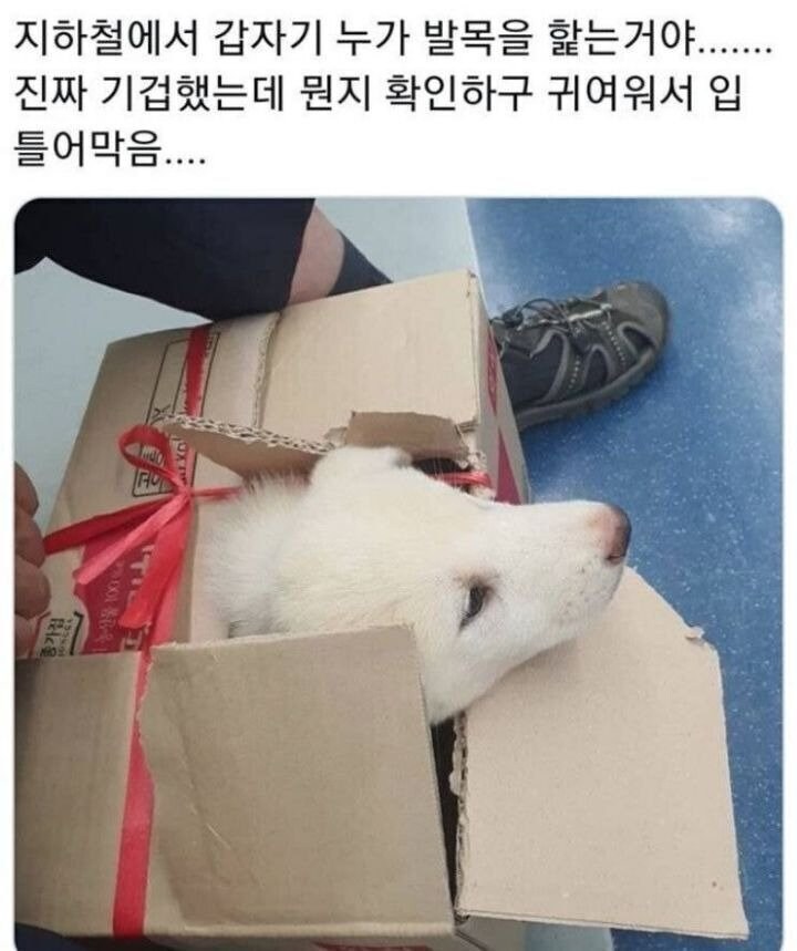 지하철에서 누가 발목을 햝음_1.jpg