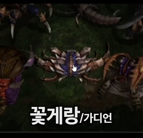 스타)히리,울리 드립이 이토록 널리 퍼진 이유_8.jpg
