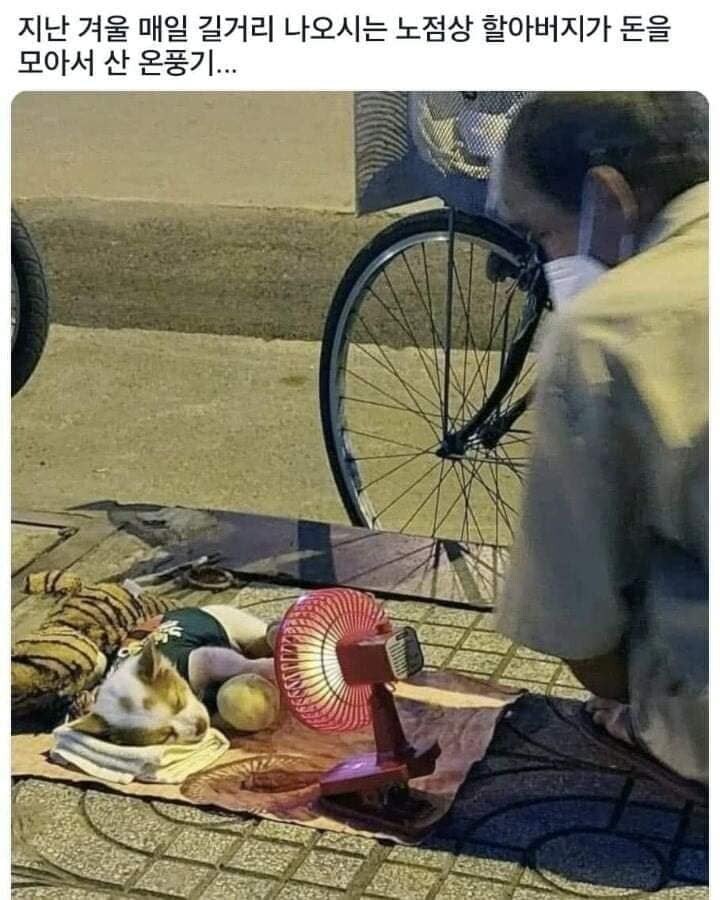 노점상 할아버지가 돈모아 온풍기 산 이유._1.jpg
