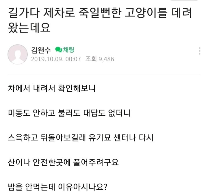 고양이 데려왔는데 밥을 안먹습니다..._1.jpg