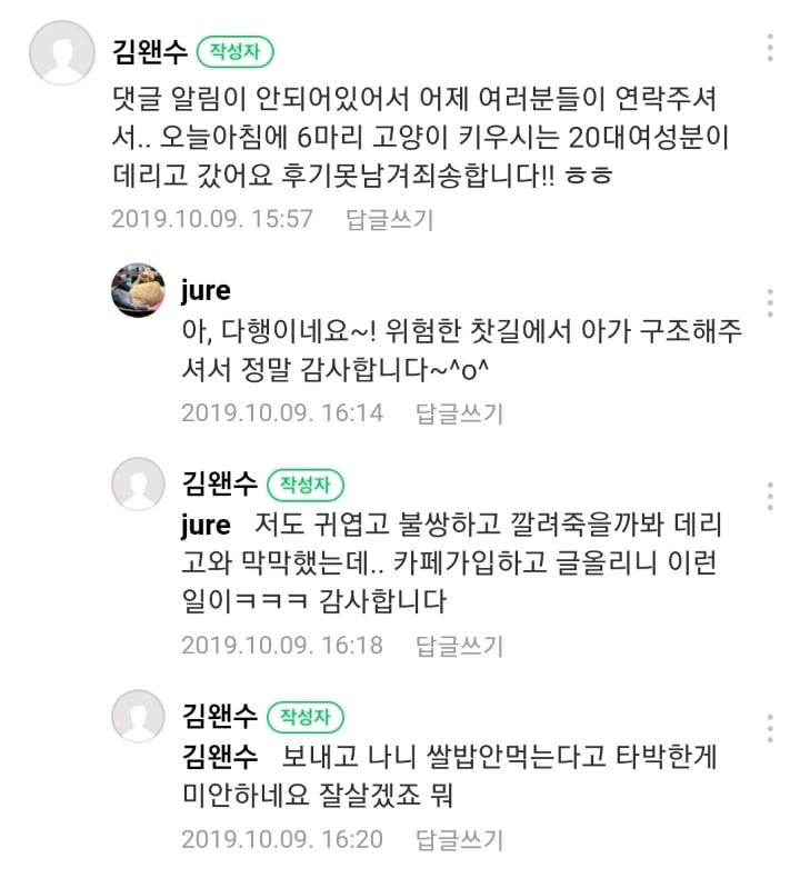 고양이 데려왔는데 밥을 안먹습니다..._5.jpg