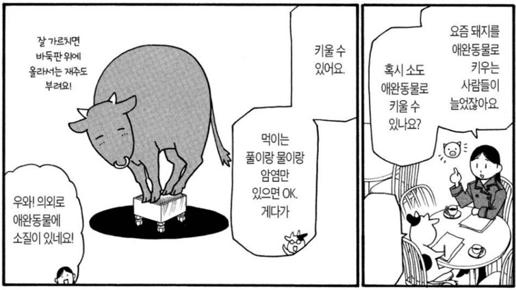백성귀족) 소를 애완용으로 키우기 힘든 이유_1.png