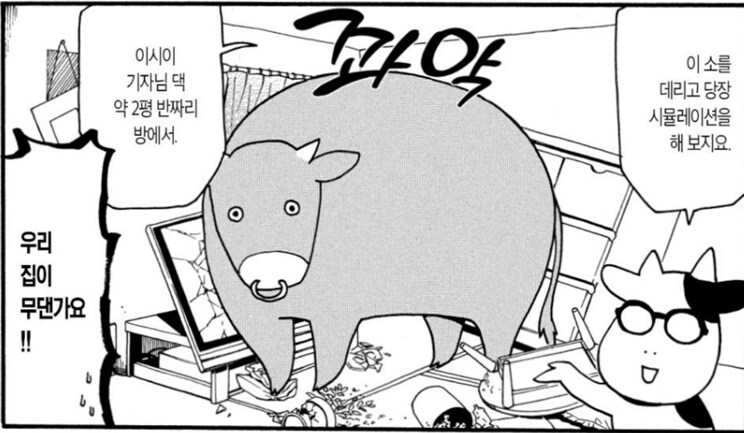백성귀족) 소를 애완용으로 키우기 힘든 이유_5.png