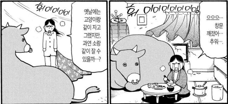 백성귀족) 소를 애완용으로 키우기 힘든 이유_7.png