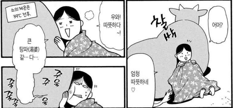 백성귀족) 소를 애완용으로 키우기 힘든 이유_8.png