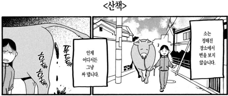 백성귀족) 소를 애완용으로 키우기 힘든 이유_10.png