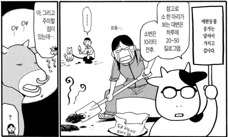백성귀족) 소를 애완용으로 키우기 힘든 이유_11.png