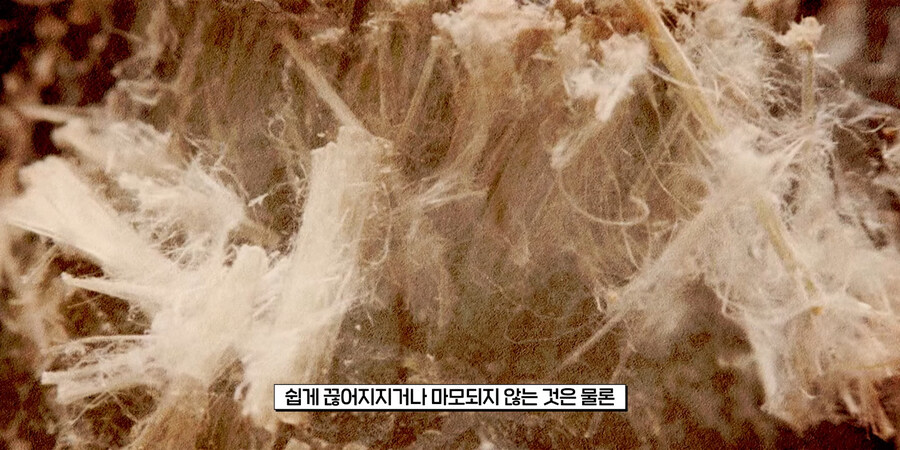 신의 물질_3.jpg
