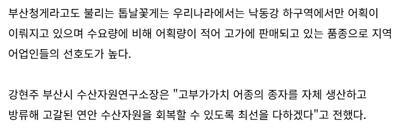 부산청게의 충격적인 사실_3.png
