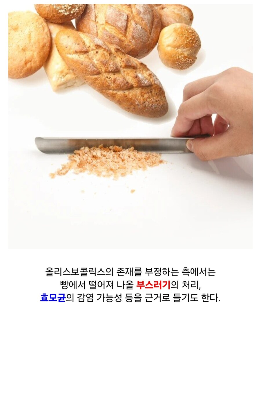 고대 그리스인이 애용한 딜도_5.jpg