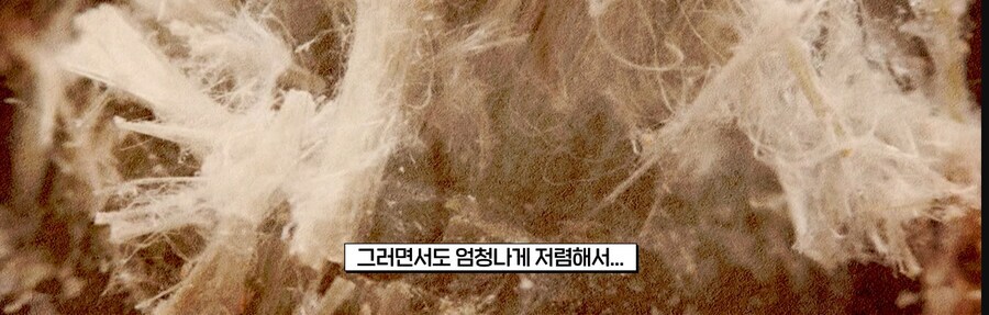 『신의 물질』_5.png