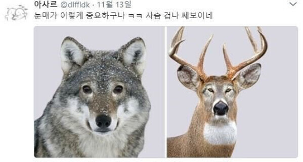 눈깔의 중요성.jpg_1.jpg