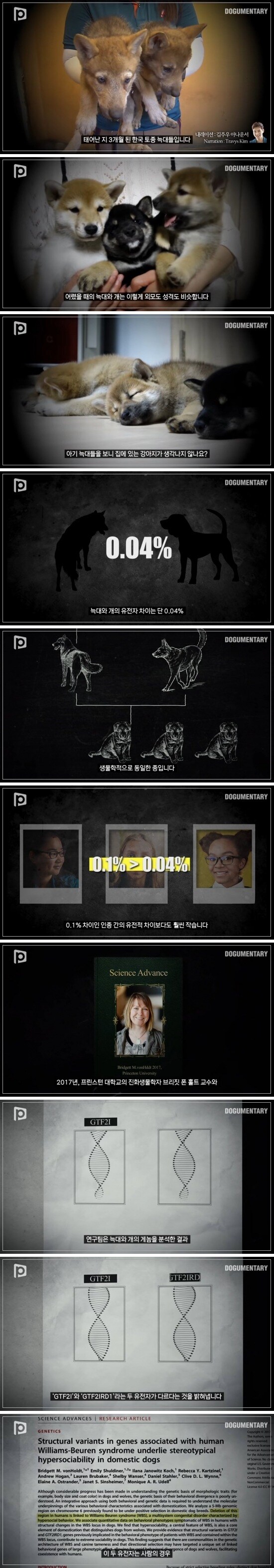 개는 정신병 걸린 늑대이다_1.jpg