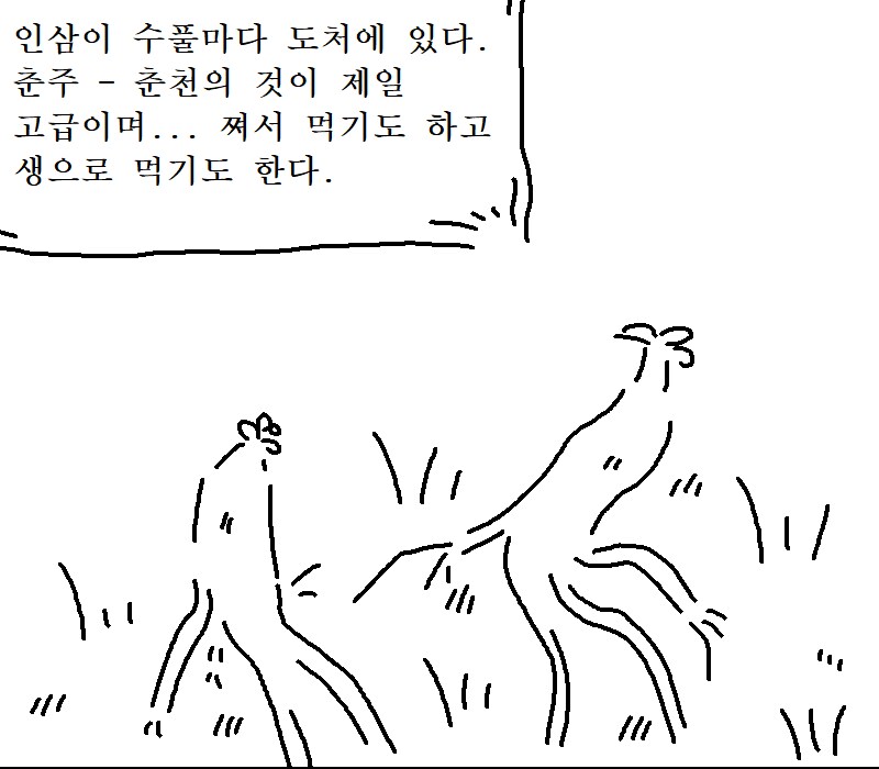 중국 사신이 본 고려인의 식문화_5.png
