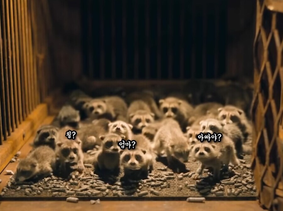[MCU] 내이름은 로켓_1.jpg