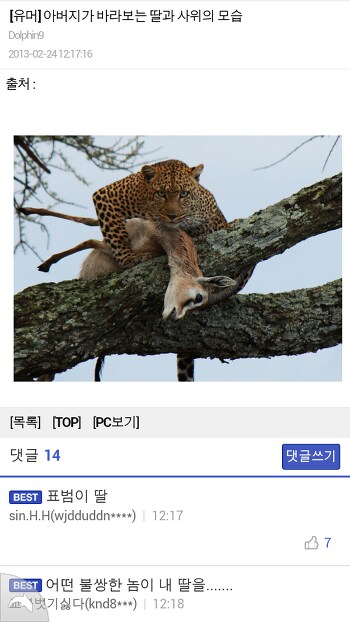아버지가 보는 딸과 사위의 모습_1.png