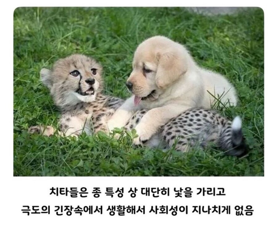 아싸를 인싸와 함께 성장 시킨 결과_1.jpg
