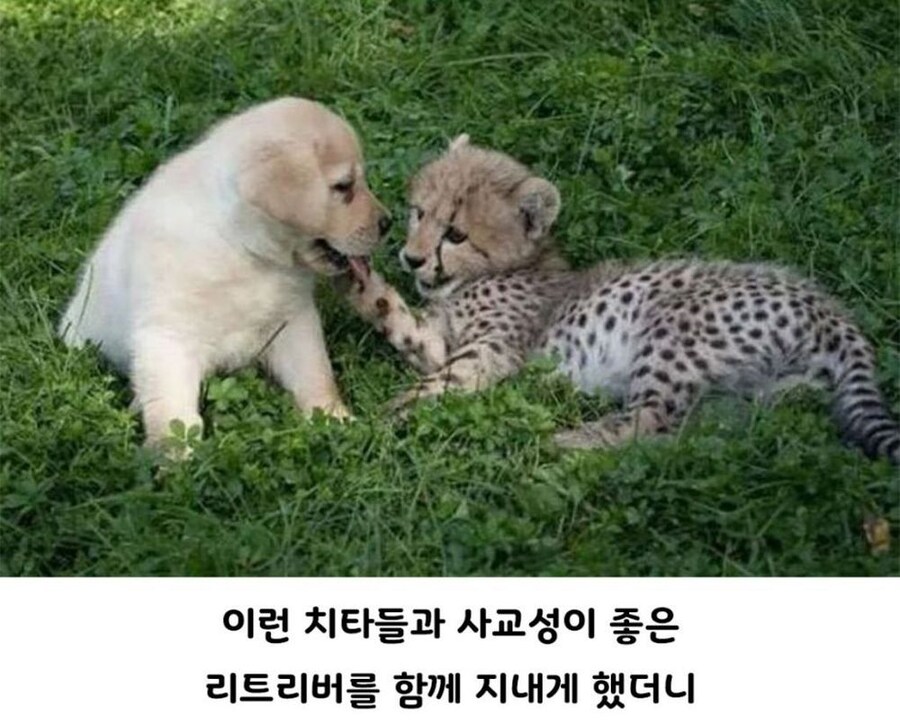 아싸를 인싸와 함께 성장 시킨 결과_4.jpg